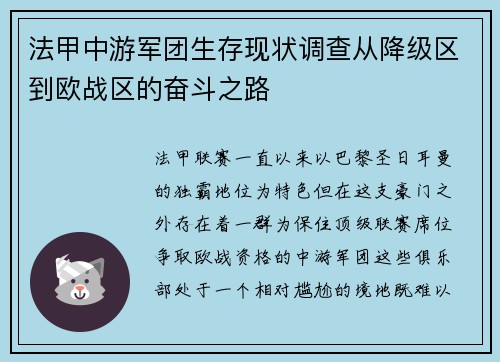 法甲中游军团生存现状调查从降级区到欧战区的奋斗之路
