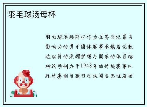 羽毛球汤母杯